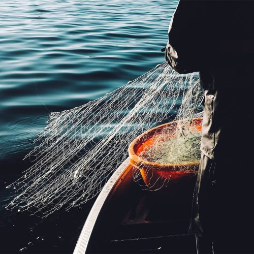 Caccia e pesca