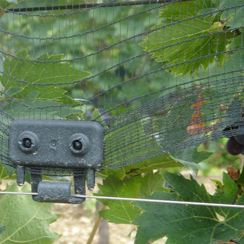 Morsetto e placca per fissare reti antigrandine